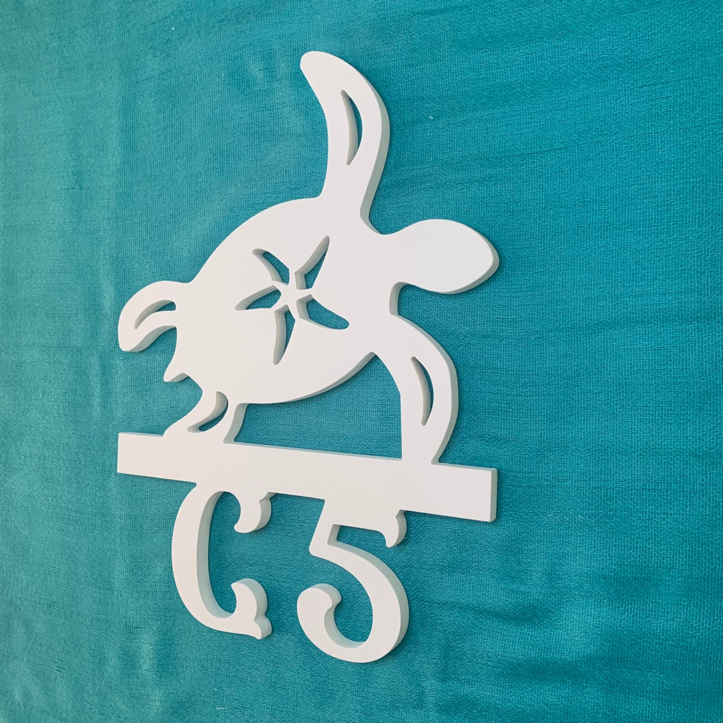 House Number Sign, Turtle Starfish