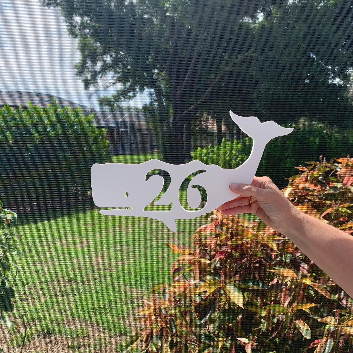 House Number Plaque - Whale