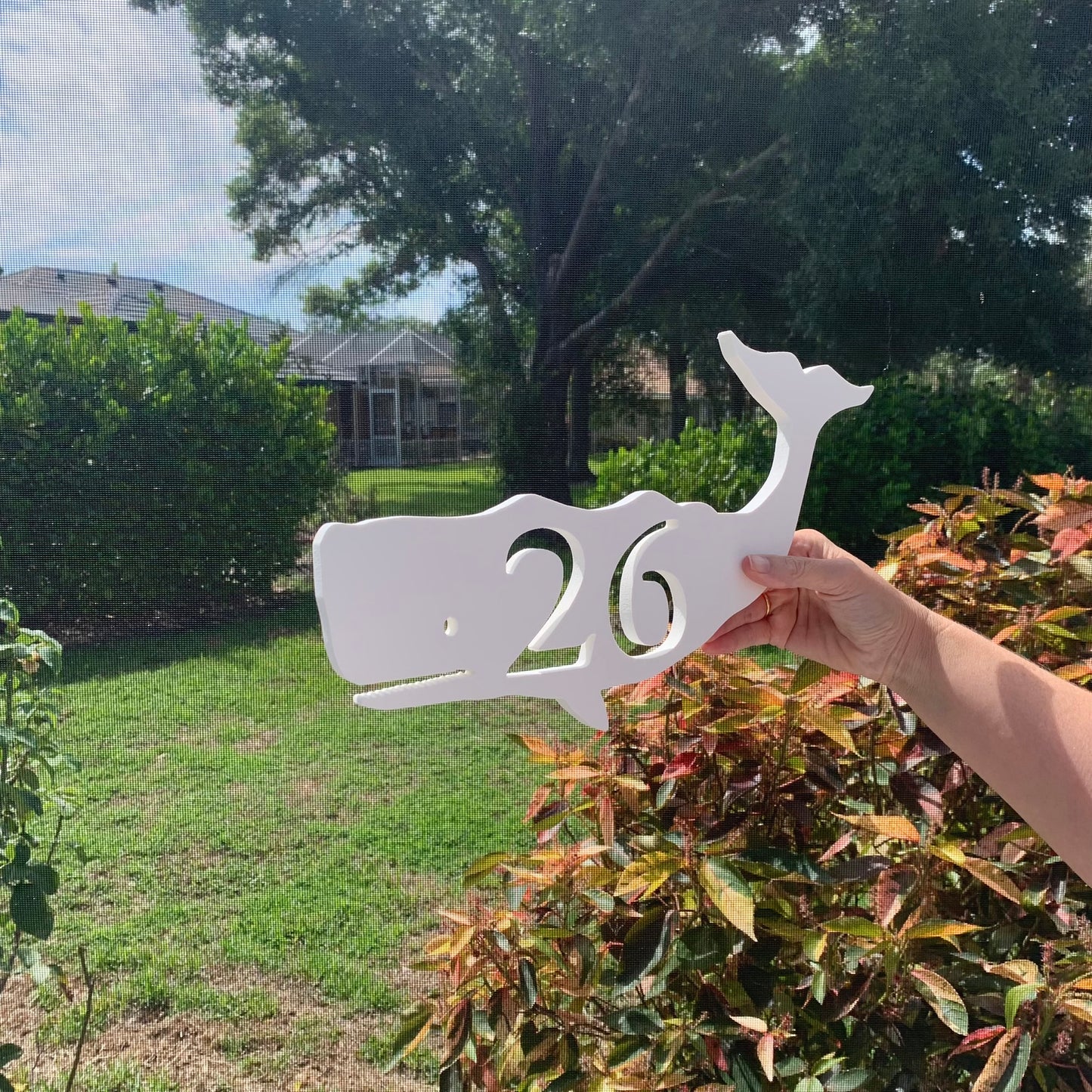 House Number Plaque - Whale