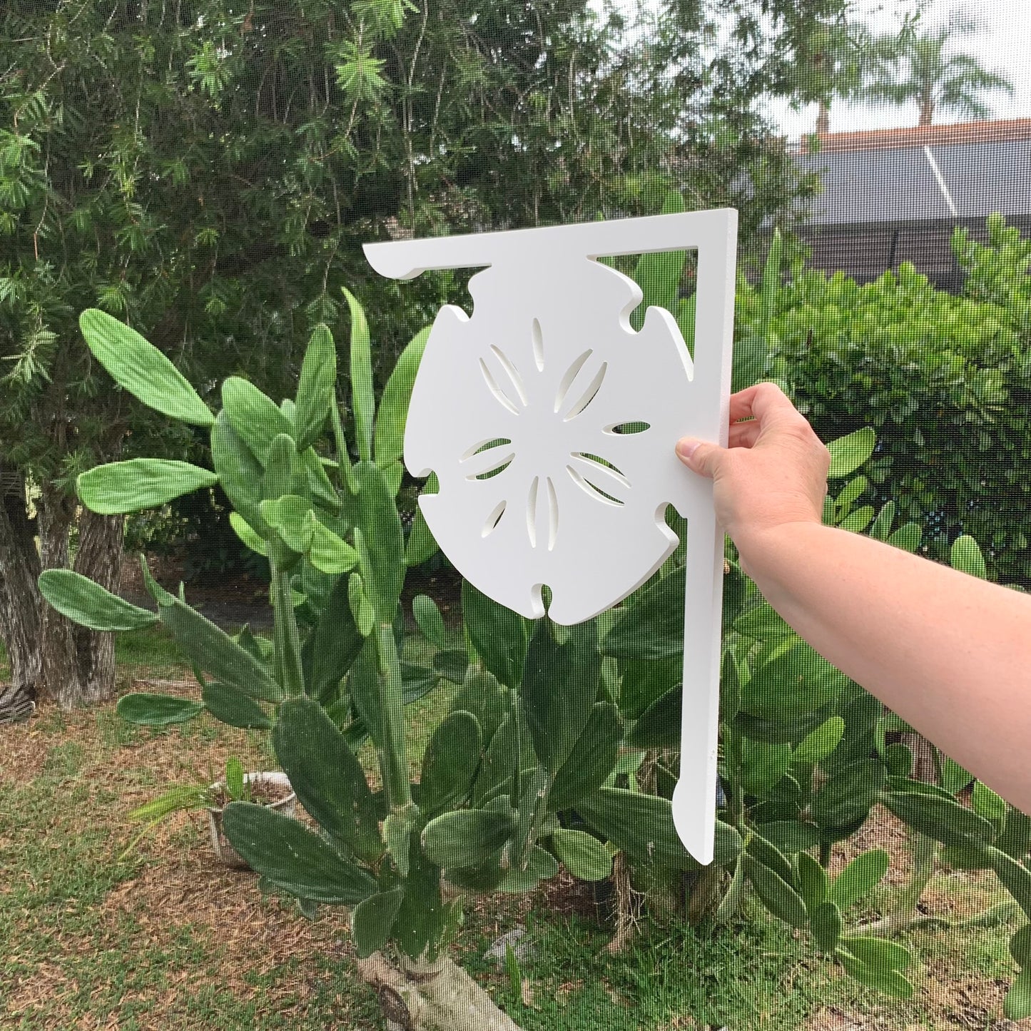 Mailbox Bracket - Sand Dollar - Medium 12" x 16"