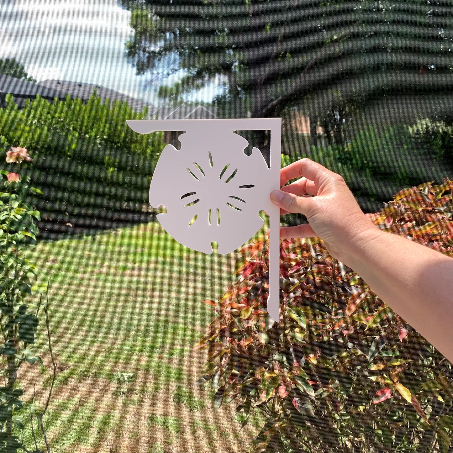 Screen Door Decor - Sand Dollar X2, Custom Mailbox, Bracket, Outdoor Decor, 7x9 inch Free Shipping to Mainland USA