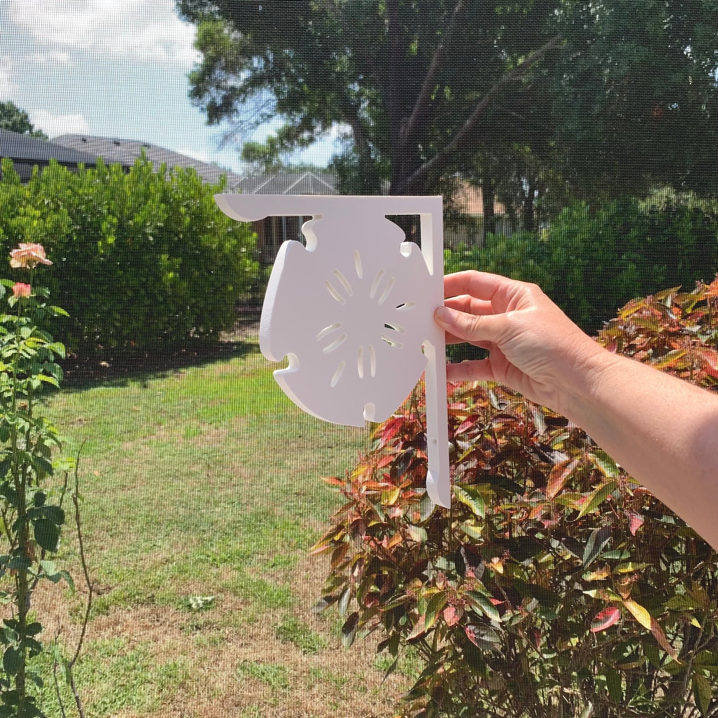 Screen Door Decor - Sand Dollar X2, Custom Mailbox, Bracket, Outdoor Decor, 7x9 inch Free Shipping to Mainland USA