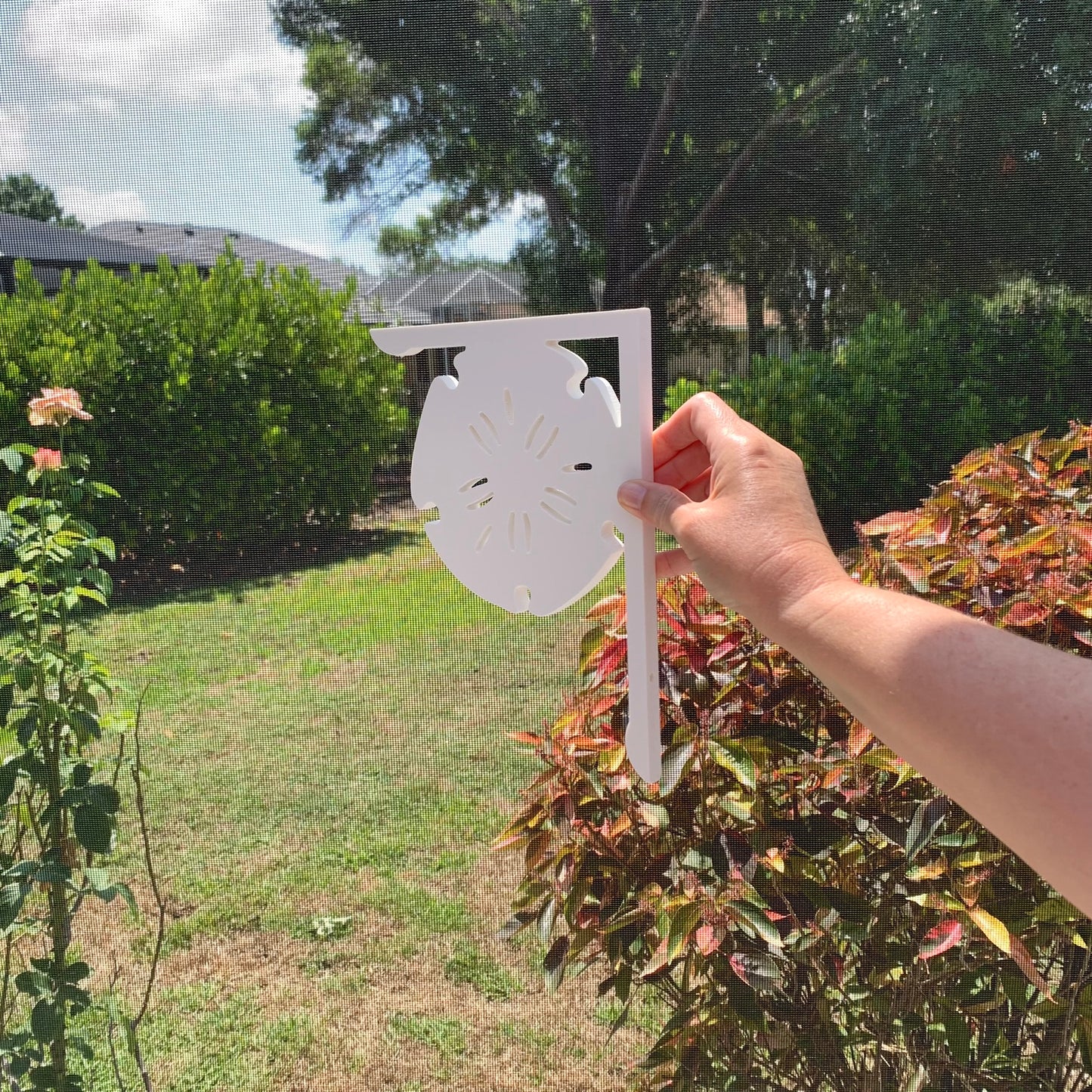 Screen Door Decor - Sand Dollar X2, Custom Mailbox, Bracket, Outdoor Decor, 7x9 inch Free Shipping to Mainland USA