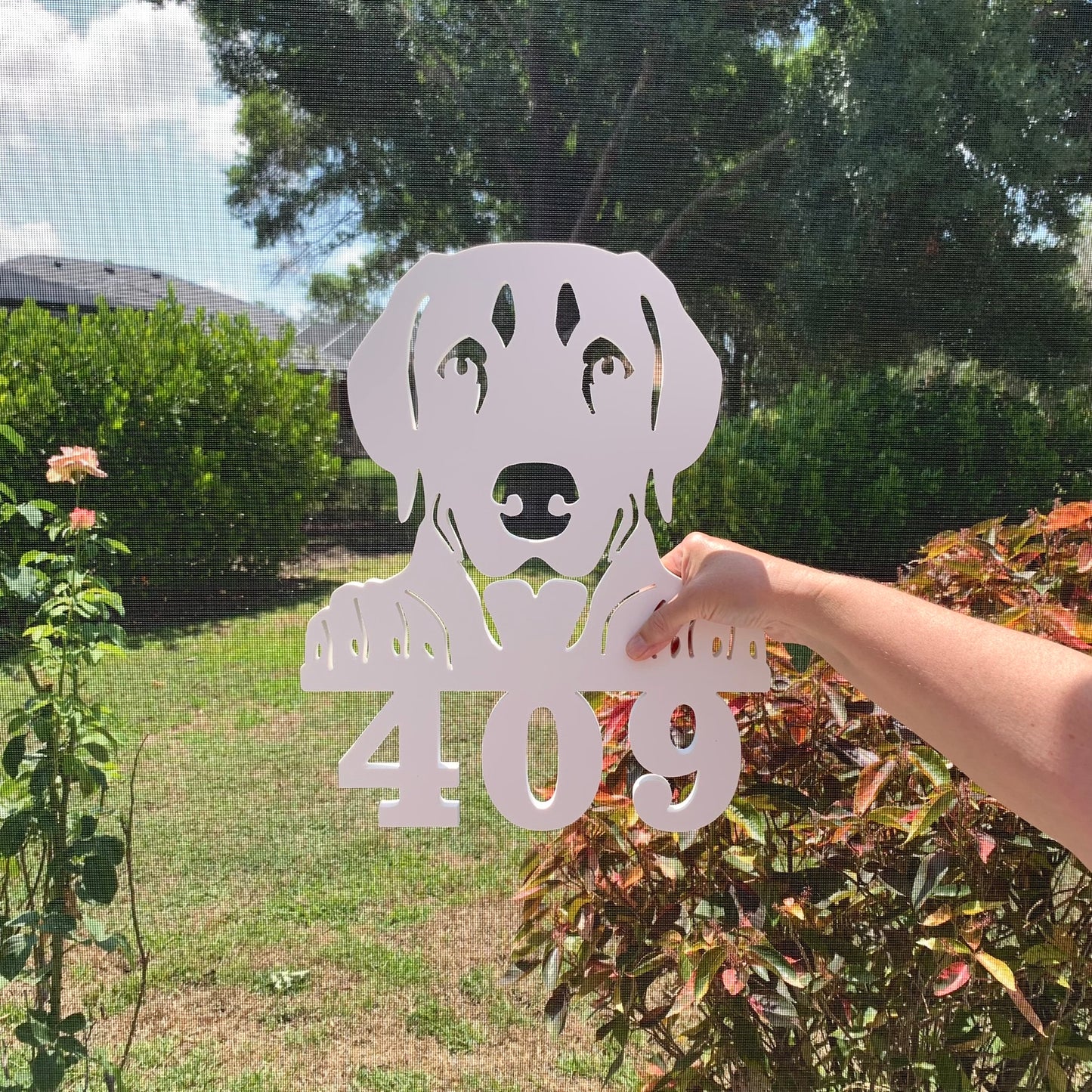 House Number Sign, Dog at the Gate