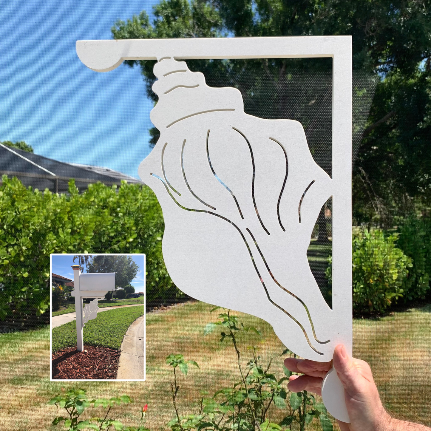 Mailbox Bracket - Conch - Large 16" x 21"