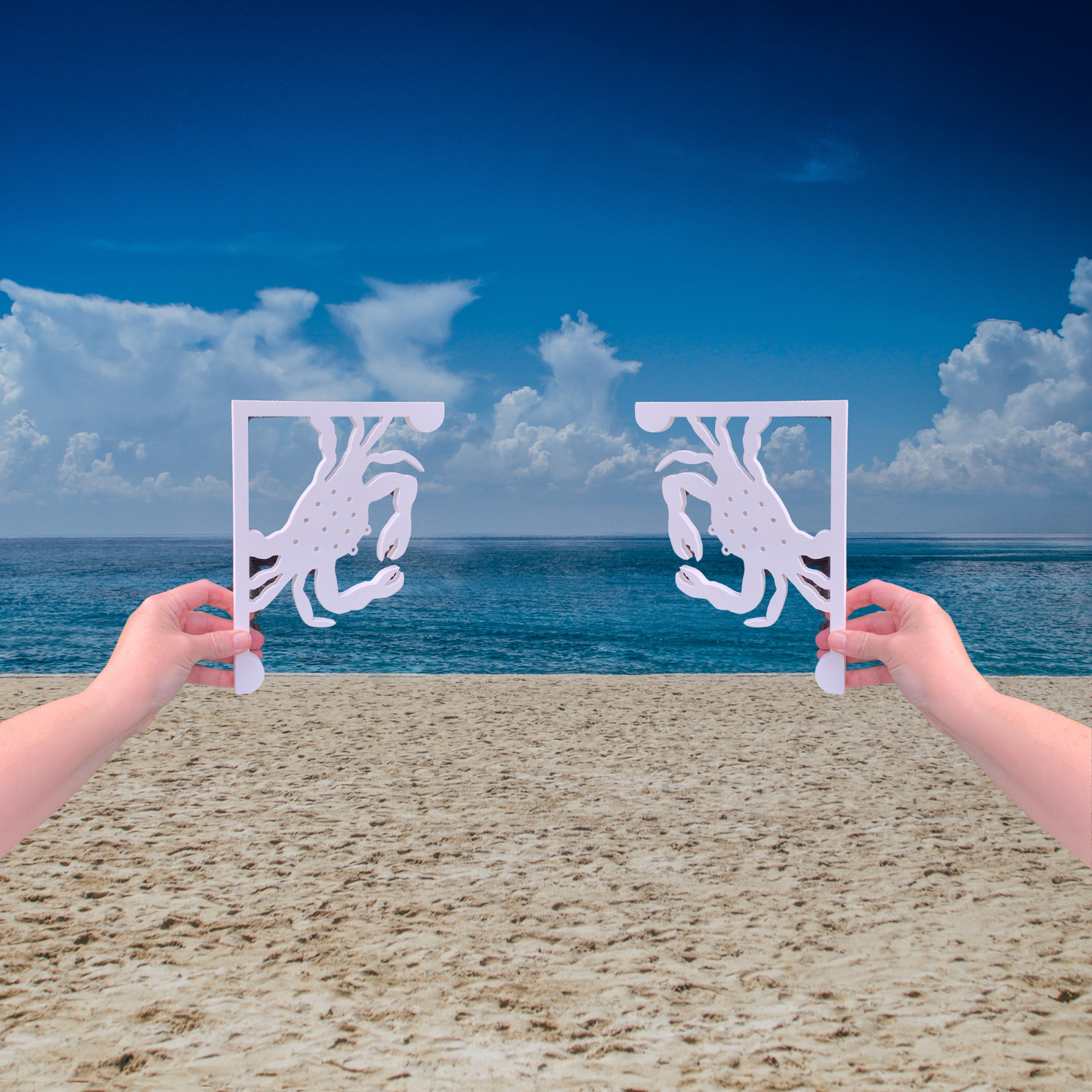 Screen Door Decor - Crab Small X2, Custom Mailbox, Bracket, Outdoor Decor, 7x9 inch Free Shipping to Mainland USA
