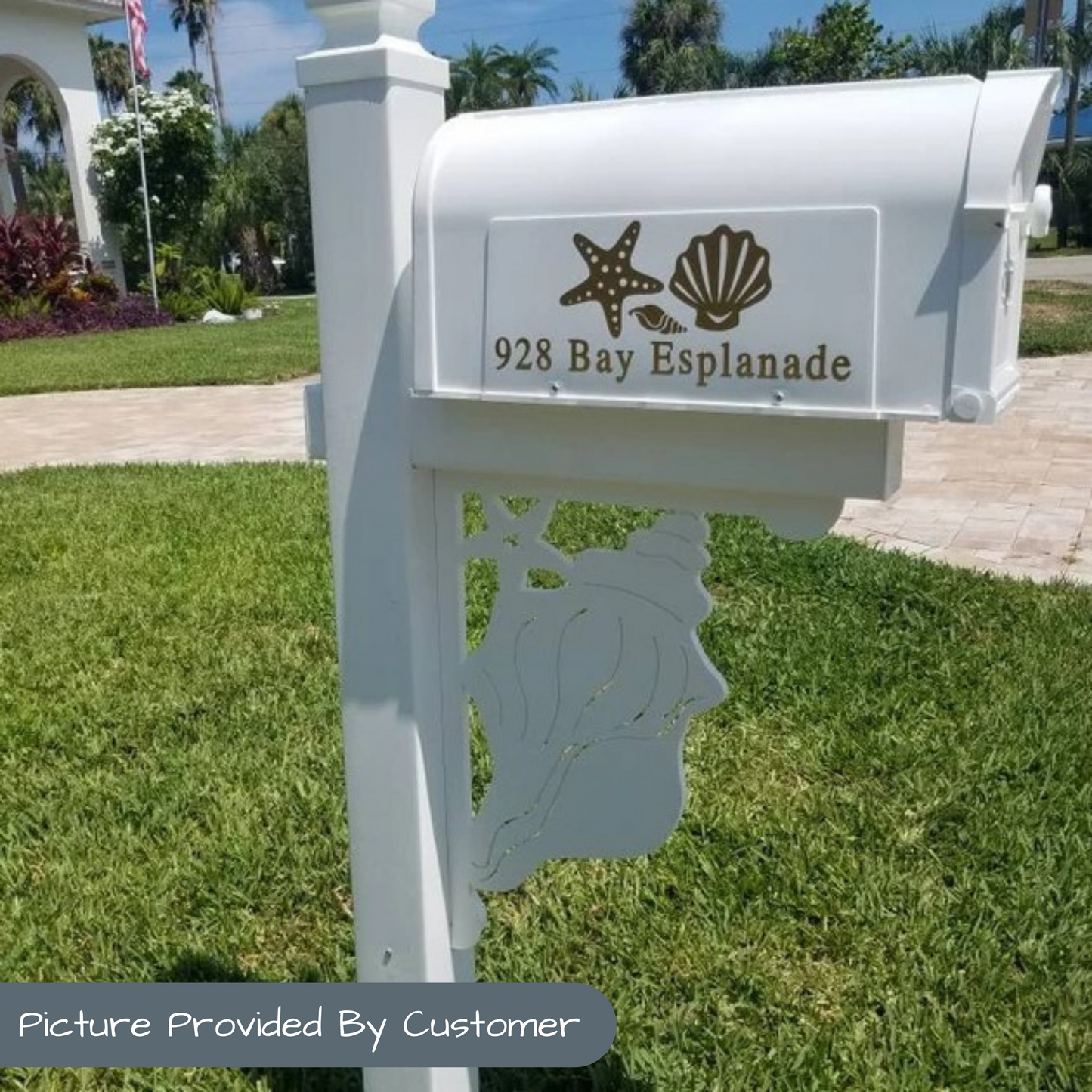 Mailbox Bracket - Conch and Starfish - Large 16" x 21"
