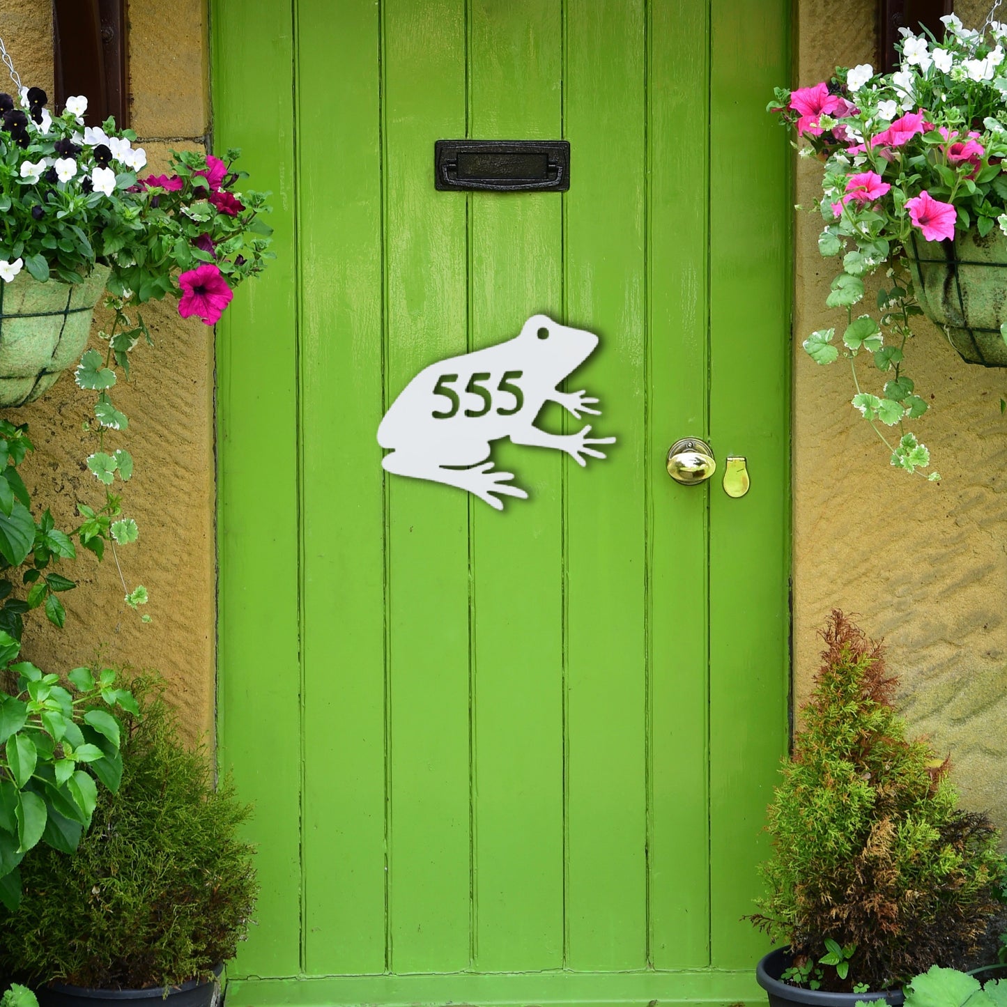 House Number Plaque - Frog Sitting