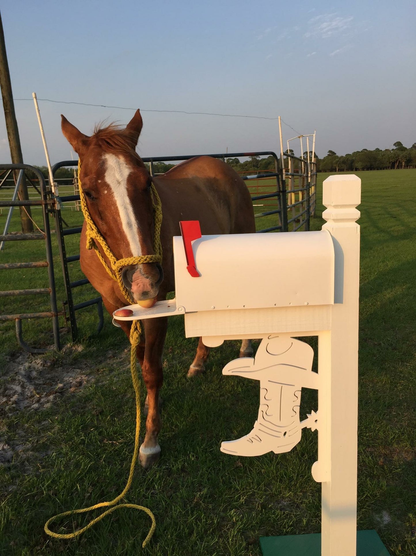 Mailbox Bracket - Cowboy Boot - Large 16" x 21"