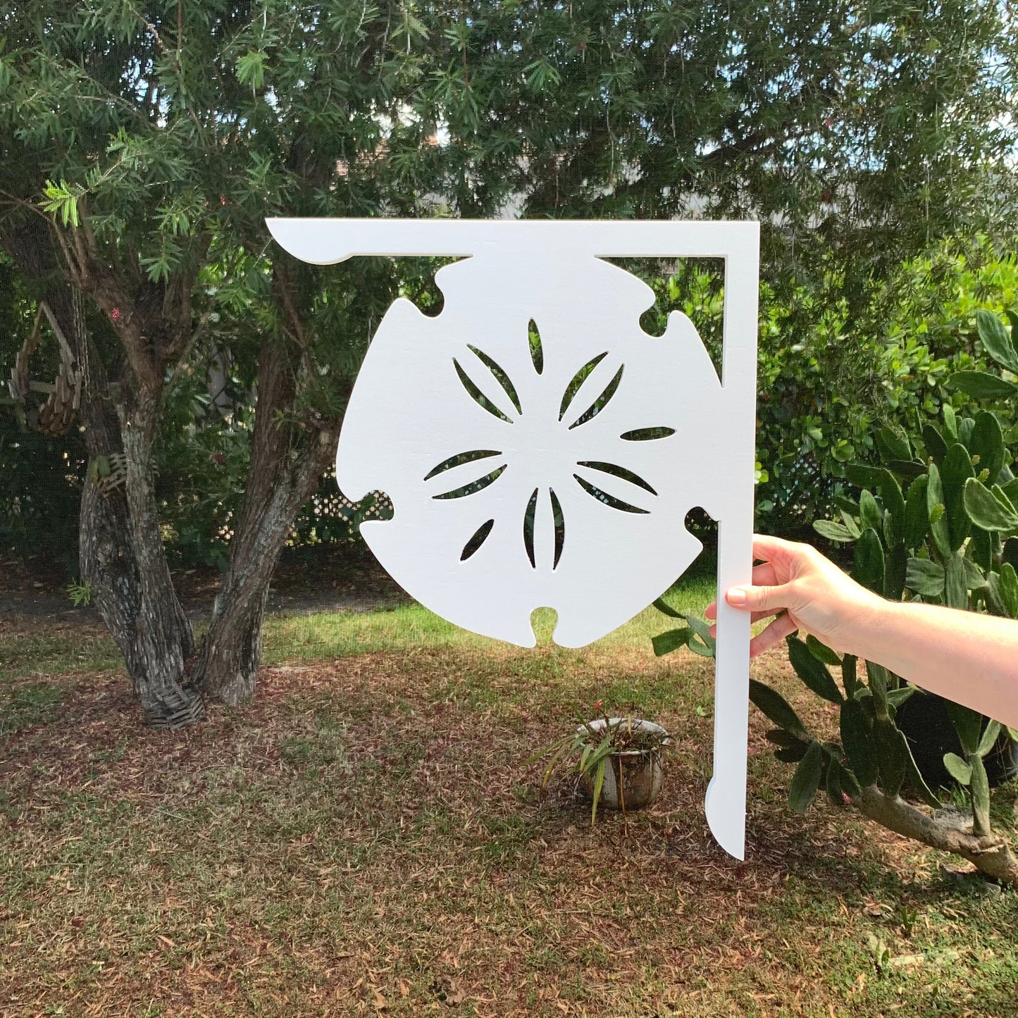 Mailbox Bracket - Sand Dollar - Large 16" x21"