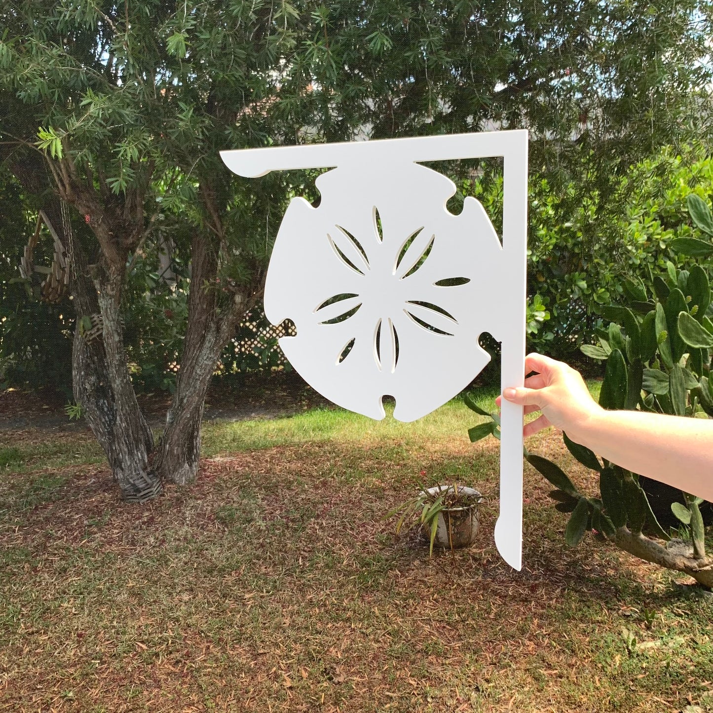 Mailbox Bracket - Sand Dollar - Large 16" x21"