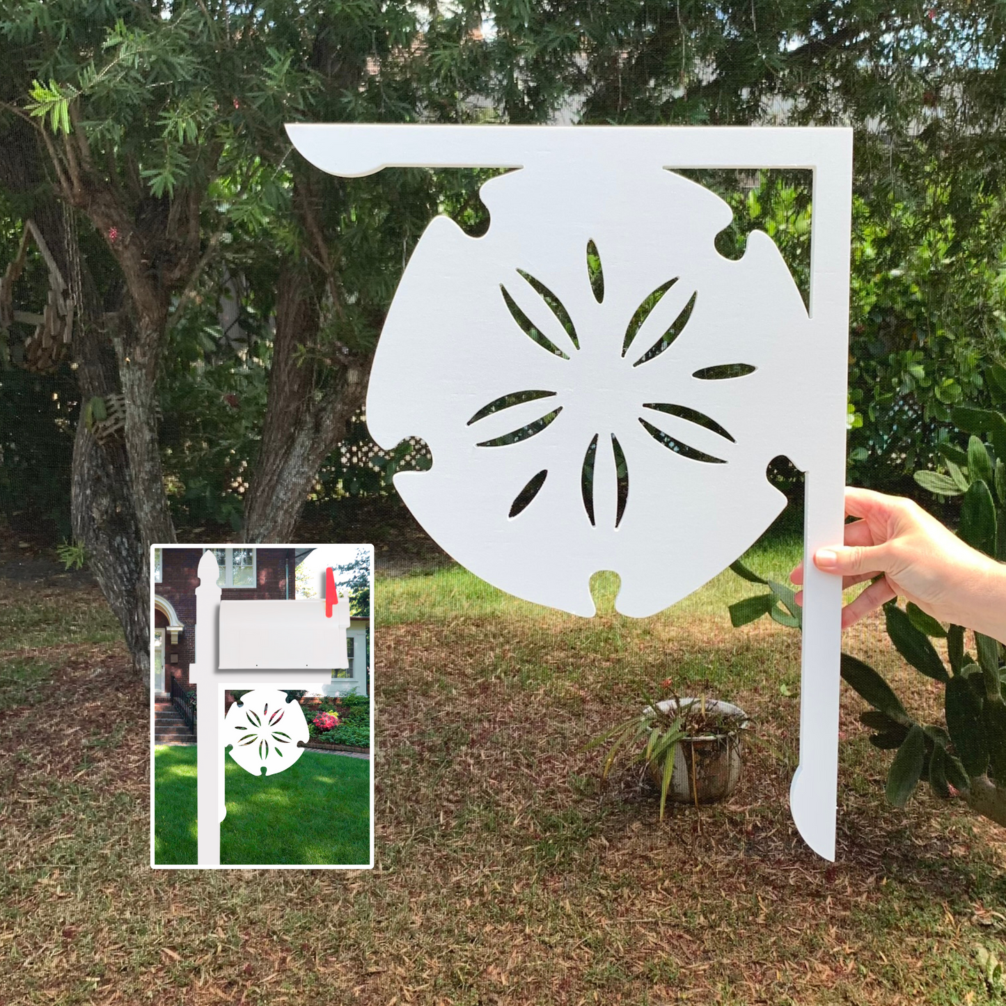 Mailbox Bracket - Sand Dollar - Large 16" x21"